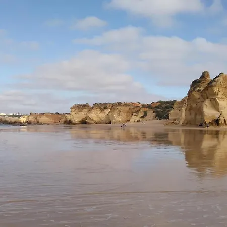 B43 - Spotless Seaview Apartment *