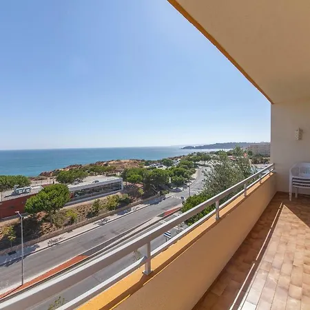 B43 - Spotless Seaview