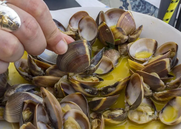 B43 - Spotless Seaview 公寓 波尔蒂芒